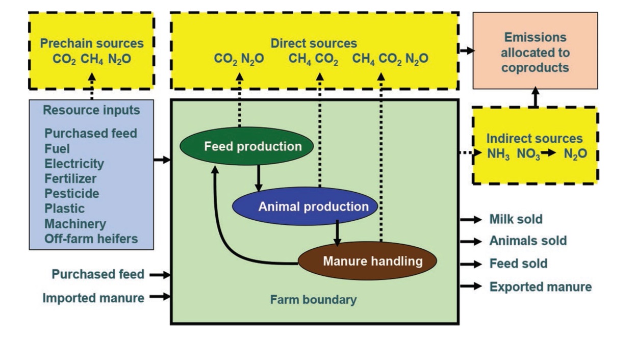 Εικόνα 1  Σημαντικές πηγές εκπομπών αερίων του θερμοκηπίου από μια φάρμα γαλακτοπαραγωγής αιγοπροβάτων  που λαμβάνονται υπόψη σε μια αξιολόγηση του κύκλου ζωής του παραγόμενου γάλακτος